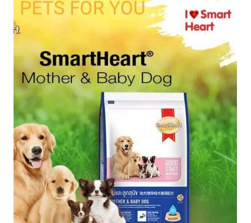 SmartHeart Starter Mother & Baby Dog Food (1.3 Kg)